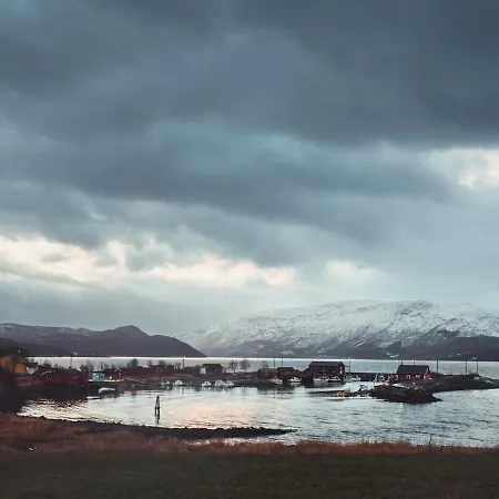 Fjord-view Traditional Nordic In Sorfold Διαμέρισμα *